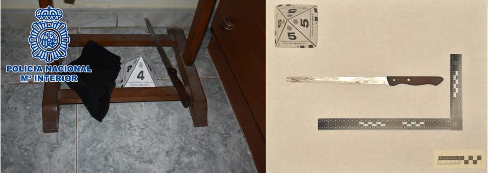 Imagen de La Policía Nacional detiene a una persona por un Robo con Violencia e Intimidación.