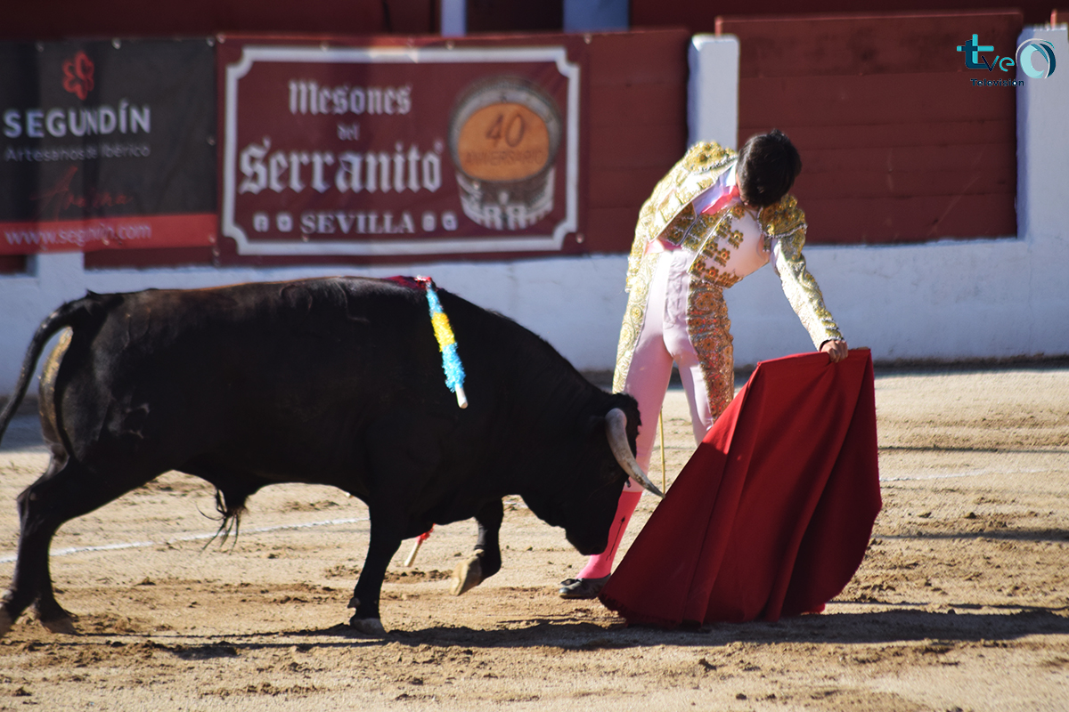 Imagen de El novillero de Salamanca Noe Garcia triunfador en la novillada en Linares