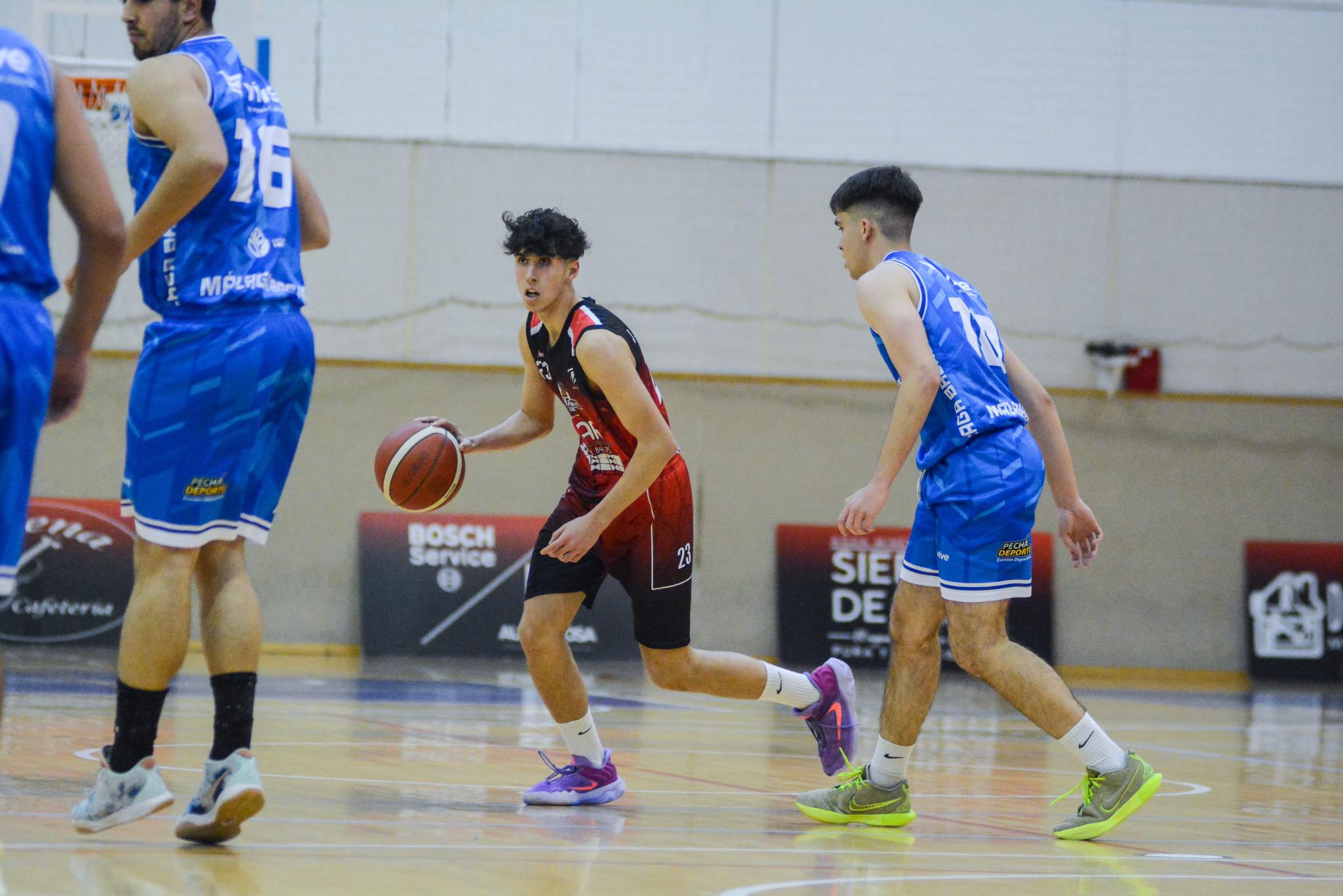 Imagen de Linares escribe una nueva página dorada en el baloncesto nacional